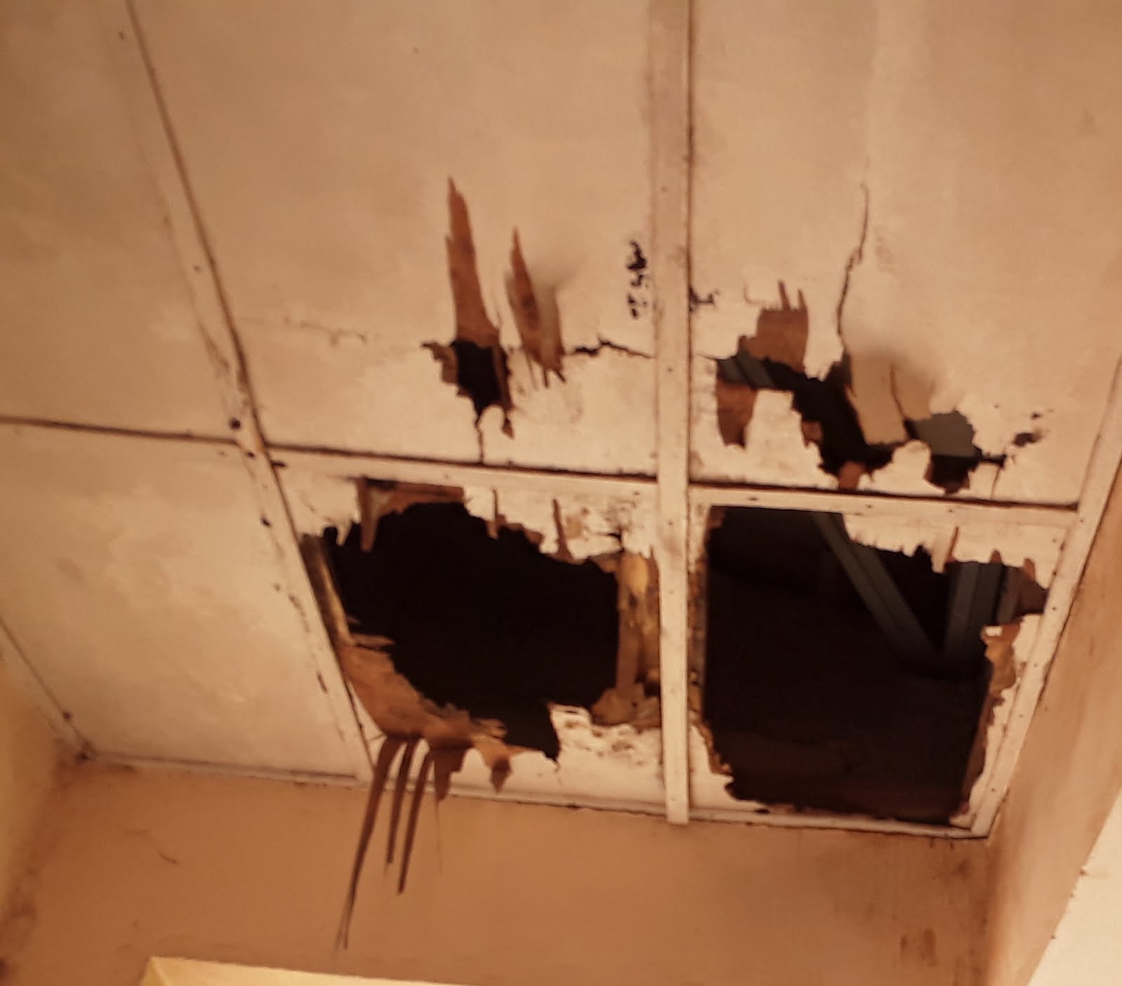 Boké-Education: quand le Lycée Filira végète dans l’insalubrité