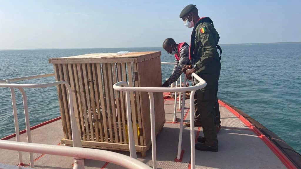 Environnement: Le Consortium SMB-Winning confirme son engagement pour la défense de la faune et de la flore