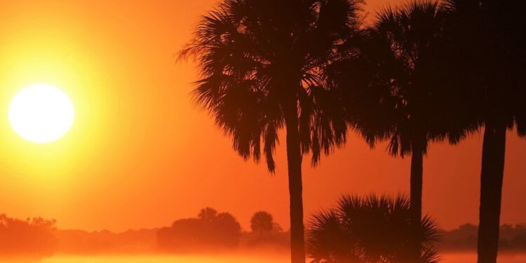 Climat : 2021 a été l’une des sept années les plus chaudes jamais observées (OMM)