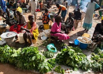 Les sanctions du Conseil de sécurité ne sont plus un instrument brutal mais un outil vital, selon l’ONU