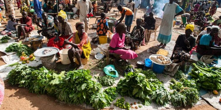 Les sanctions du Conseil de sécurité ne sont plus un instrument brutal mais un outil vital, selon l’ONU