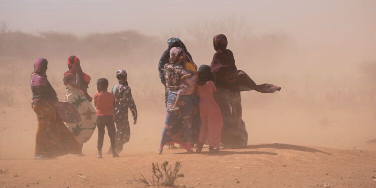 Corne de l’Afrique : 13 millions de personnes menacées de faim en raison de la sécheresse, alerte l’ONU