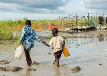 Corne de l’Afrique : des chances accrues de précipitations supérieures à la normale (OMM)