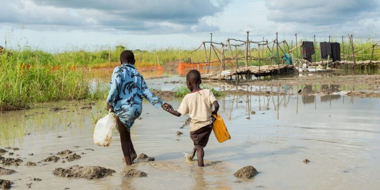 Corne de l’Afrique : des chances accrues de précipitations supérieures à la normale (OMM)