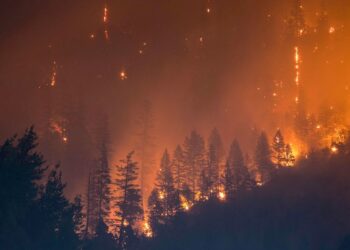 Incendies de forêt, pollution sonore et perturbation des cycles de vie sont des menaces auxquelles il faut s’attaquer
