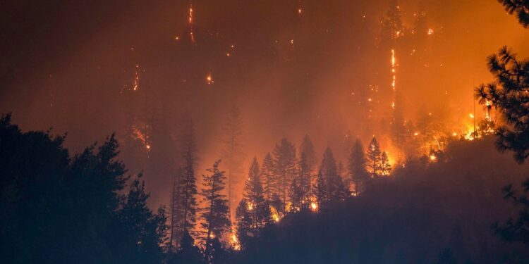Incendies de forêt, pollution sonore et perturbation des cycles de vie sont des menaces auxquelles il faut s’attaquer