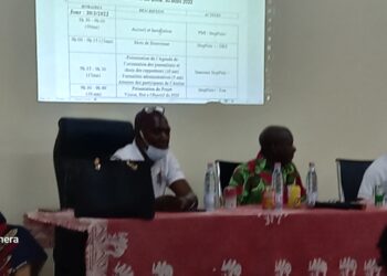 Boké-Santé: Orientation des journalistes sur la Campagne nationale de distribution des MILDA, au cœur d’une rencontre 