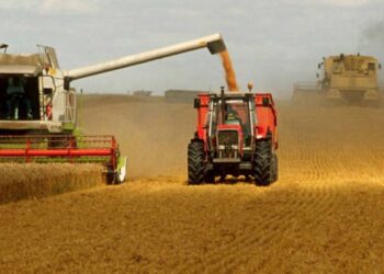 Guerre en Ukraine : pénuries, hausse des prix alimentaires et de la malnutrition en vue (FAO)
