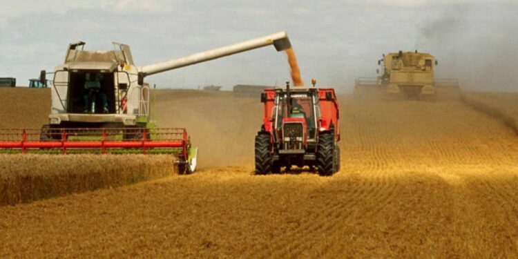 Guerre en Ukraine : pénuries, hausse des prix alimentaires et de la malnutrition en vue (FAO)