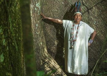 Journée des forêts : il est temps de mettre en place une gestion forestière « concrète et crédible », affirme le chef de l’ONU