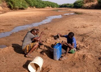 Corne de l’Afrique : 15 millions de personnes confrontées à une crise humanitaire en raison de la sécheresse