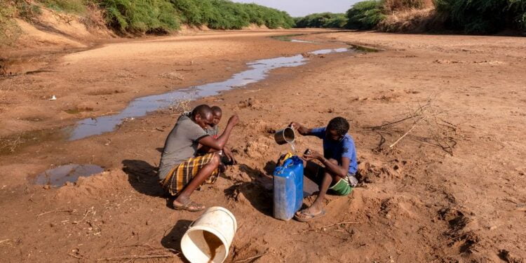 Corne de l’Afrique : 15 millions de personnes confrontées à une crise humanitaire en raison de la sécheresse
