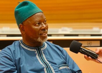 « Le Mali est menacé par l’effondrement », alerte l’expert de l’ONU Alioune Tine