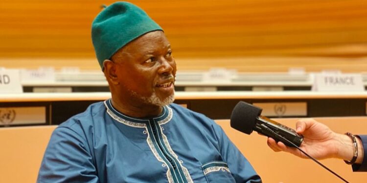 « Le Mali est menacé par l’effondrement », alerte l’expert de l’ONU Alioune Tine