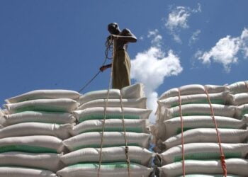 Plus des deux tiers des Africains ont été exposés au virus responsable de la Covid-19, selon l’OMS