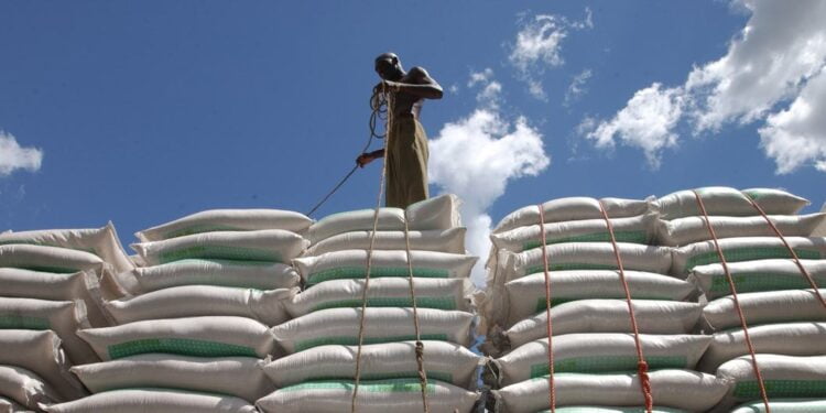 Plus des deux tiers des Africains ont été exposés au virus responsable de la Covid-19, selon l’OMS