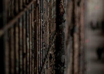 Prévention de la torture : la pandémie de Covid-19 a aussi perturbé l’accès des experts onusiens aux prisons