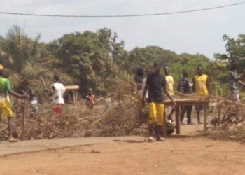 Boké-Manifs contre le Délestage: Des femmes érigent des barricades à Koulifanya, Baralandé et Tamakènèn
