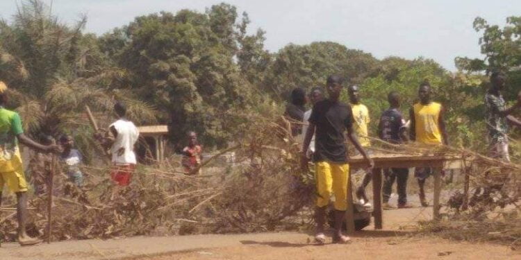 Boké-Manifs contre le Délestage: Des femmes érigent des barricades à Koulifanya, Baralandé et Tamakènèn