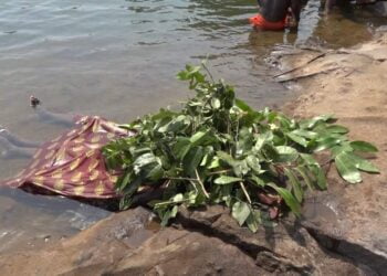 Boké-Société: Deux adolescentes meurent par noyade  sur le fleuve TINGUILINTA