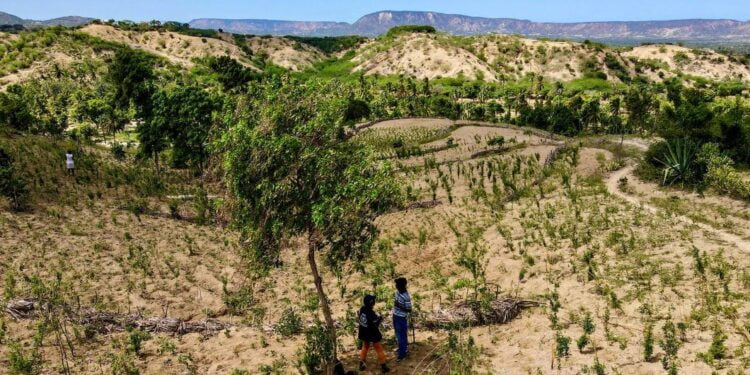 La déforestation mondiale ralentit, mais les forêts pluviales tropicales sont toujours menacées (FAO)