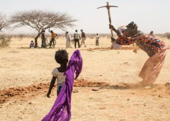 Conférence contre la désertification à Abidjan : la dégradation des terres n’est pas une fatalité, selon l’ONU