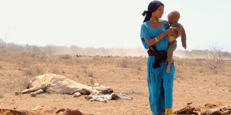 Le monde « à la croisée des chemins » dans la gestion de la sécheresse