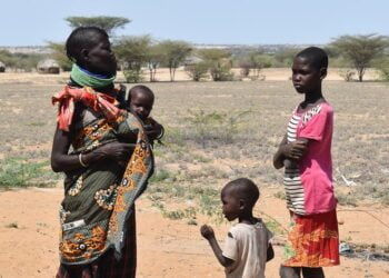 A Turkana, au Kenya, les gens ont perdu leur bétail et n’ont ni nourriture, ni eau, alerte l’ONU