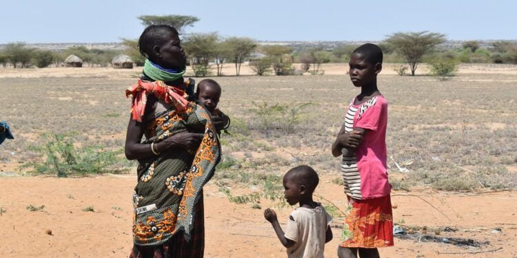 A Turkana, au Kenya, les gens ont perdu leur bétail et n’ont ni nourriture, ni eau, alerte l’ONU
