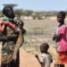 A Turkana, au Kenya, les gens ont perdu leur bétail et n’ont ni nourriture, ni eau, alerte l’ONU