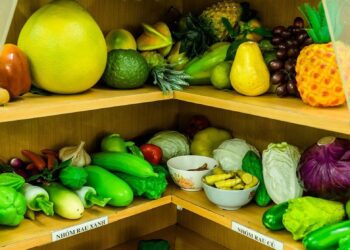 L’ONU se mobilise pour une alimentation saine qui éviterait 11 millions de décès par an