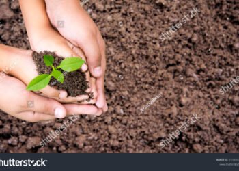 Environnement Jour de la Terre, Les femmes et les enfants aident à tenir des semis verts sur le sol, vue de dessus, espace pour le texte, concept de conservation des forêts.