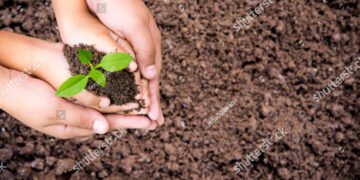 Environnement Jour de la Terre, Les femmes et les enfants aident à tenir des semis verts sur le sol, vue de dessus, espace pour le texte, concept de conservation des forêts.