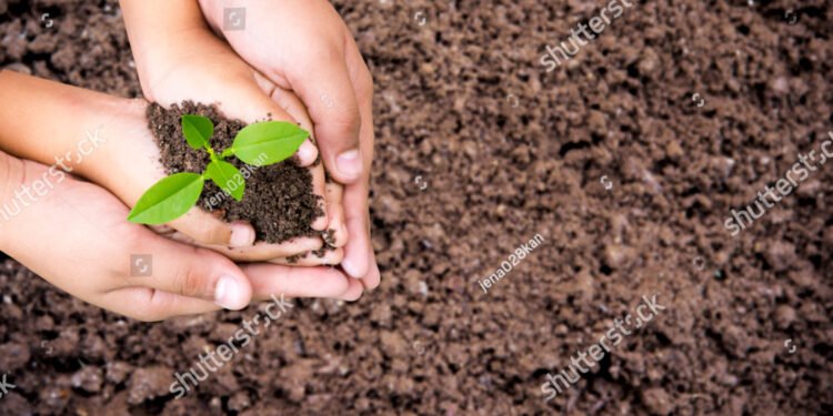 Environnement Jour de la Terre, Les femmes et les enfants aident à tenir des semis verts sur le sol, vue de dessus, espace pour le texte, concept de conservation des forêts.