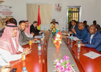 LE PREMIER MINISTRE REÇOIT À KINDIA UNE MISSION DU FONDS SAOUDIEN DE DÉVELOPPEMENT