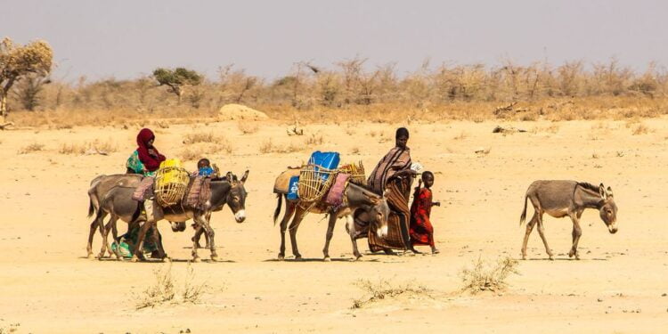 La Niña ne veut pas s’arrêter et pourrait persister jusqu’en 2023, selon l’OMM