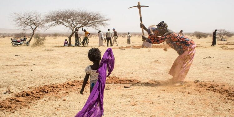 L’ONU appelle à prendre soin des sols pour combattre la désertification et la sécheresse