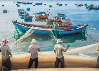 Une stratégie de « transformation bleue » pour améliorer les systèmes alimentaires marins