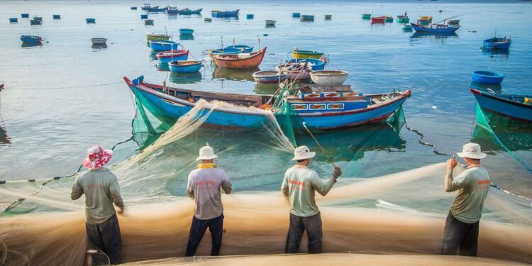 Une stratégie de « transformation bleue » pour améliorer les systèmes alimentaires marins