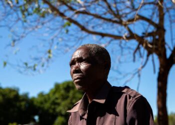 D’ancien combattant à agriculteur : soutenir la consolidation de la paix au Mozambique