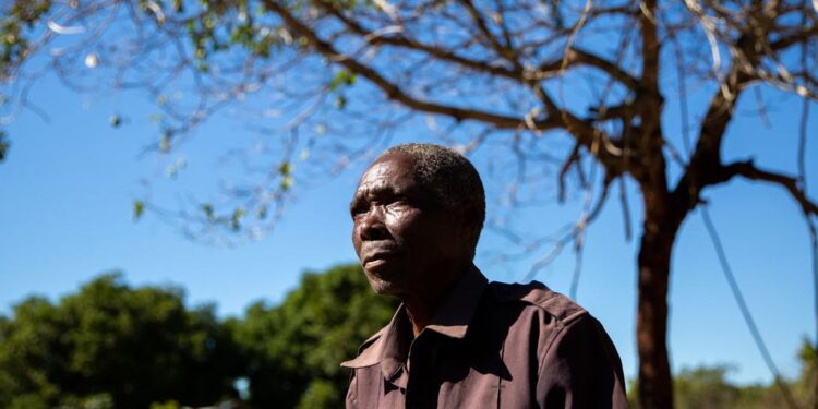 D’ancien combattant à agriculteur : soutenir la consolidation de la paix au Mozambique