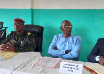 Boké-Santé: La problématique de la santé publique en débat  au CTRS 