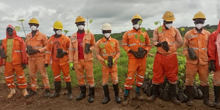 Boke-Environnement: Le Consortium SMB-WINING lance la mise en terre de 6000 plants sur la Mine de Dabiss