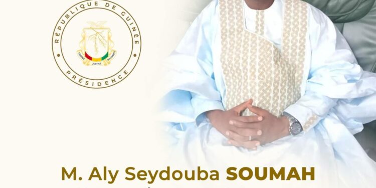 QUI EST ALY SEYDOUBA SOUMAH DU NOUVEAU MINISTRE DE L’ÉNERGIE, DE L’HYDRAULIQUE ET DES HYDROCARBURES ?