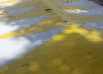 Kolaboui-Humanitaire: ADC, une ONG au service de  Boké pour réduire les cas de morts 