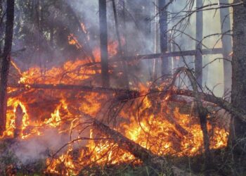 Changement climatique : « Nous allons dans la mauvaise direction », prévient l’ONU