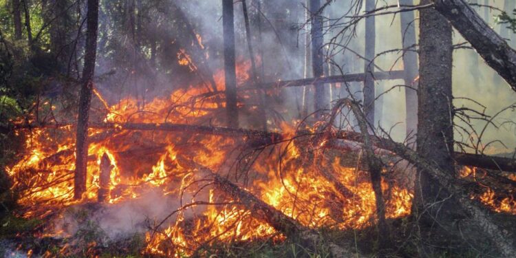 Changement climatique : « Nous allons dans la mauvaise direction », prévient l’ONU