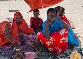 Un « tsunami de la faim » pourrait déclencher de multiples famines, avertit l’ONU