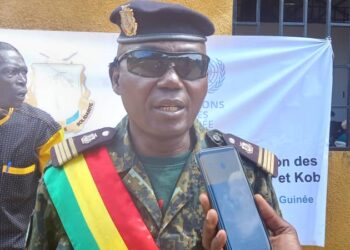 Koba-Développement Local: Formation des Acteurs impliqués dans la mobilisation des Ressources locales