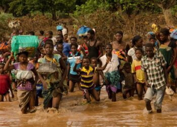 Afrique de l’Ouest : des inondations déciment des vies et des terres cultivées